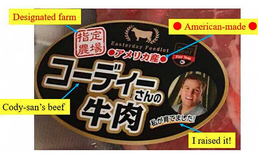 The cattle for 'Cody's Beef' were real, Easterday tells appeals