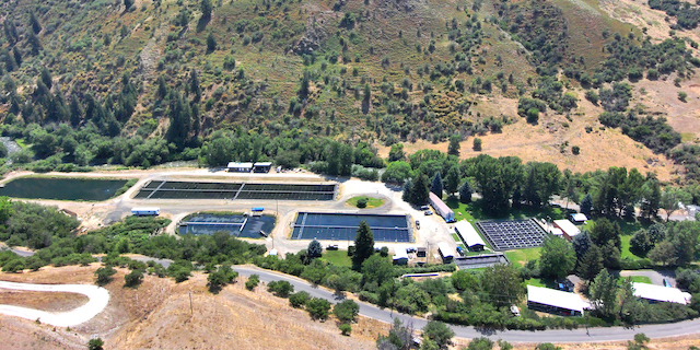 Idaho Power to start major upgrade of Rapid River Hatchery