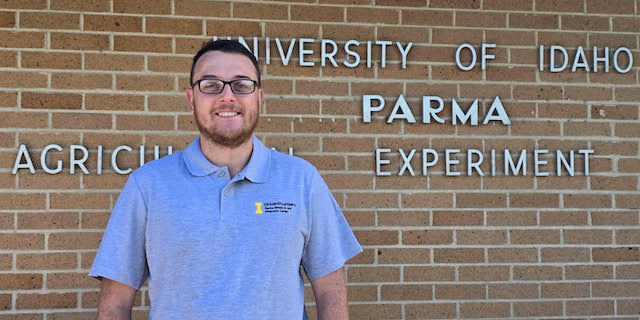 UI research seeks solution to mint stem borer pressure