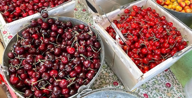 Oregon cherry commission considers new marketing order