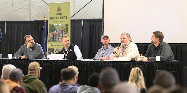 Processors stress need for new markets for Oregon hazelnuts