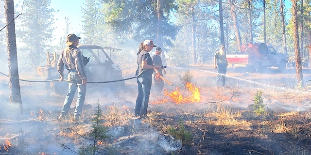 ‘Fight fire with fire’: Prescribed burn associations gain momentum in Oregon