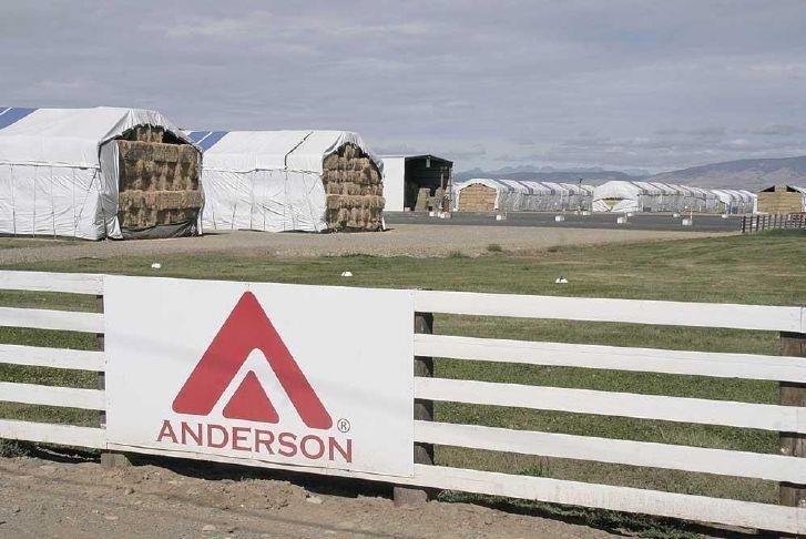 Bankruptcy order sets ‘soft deadline’ for Anderson  payments