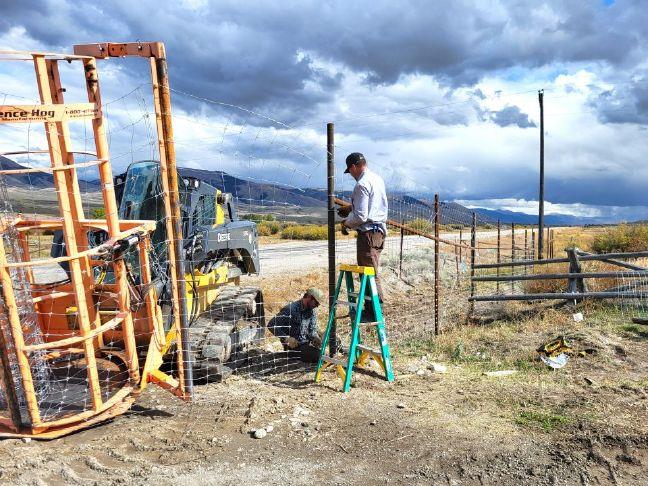 Idaho committee endorses resolution supporting wildlife crossings