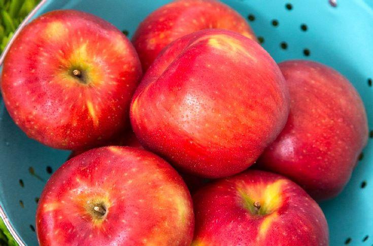 USDA market development programs to aid apples, other West Coast commodities