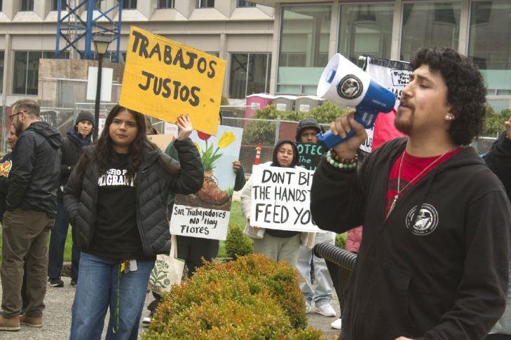 Washington farmworker union bill falters in Senate