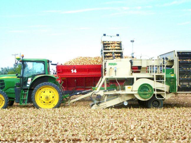 Comments taken on lower onion assessment